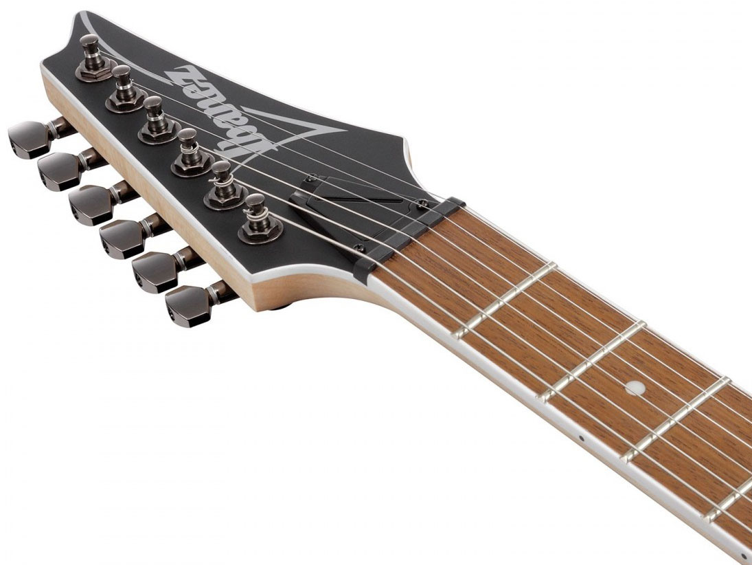 Ibanez Rg421s Sem Standard 2h Ht Ja - Sea Shore Matte - E-Gitarre in Str-Form - Variation 4