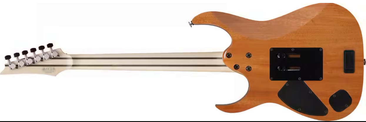 Ibanez Rg5440c Dfm Prestige Jap Hss Emg Trem Eb - Deep Forest Green Metallic - E-Gitarre in Str-Form - Variation 2