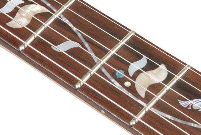 Ibanez Rg8570 Bsr J.custom Jap Hsh Dimarzio Fr Rw - Brownish Sphalerite - E-Gitarre in Str-Form - Variation 4