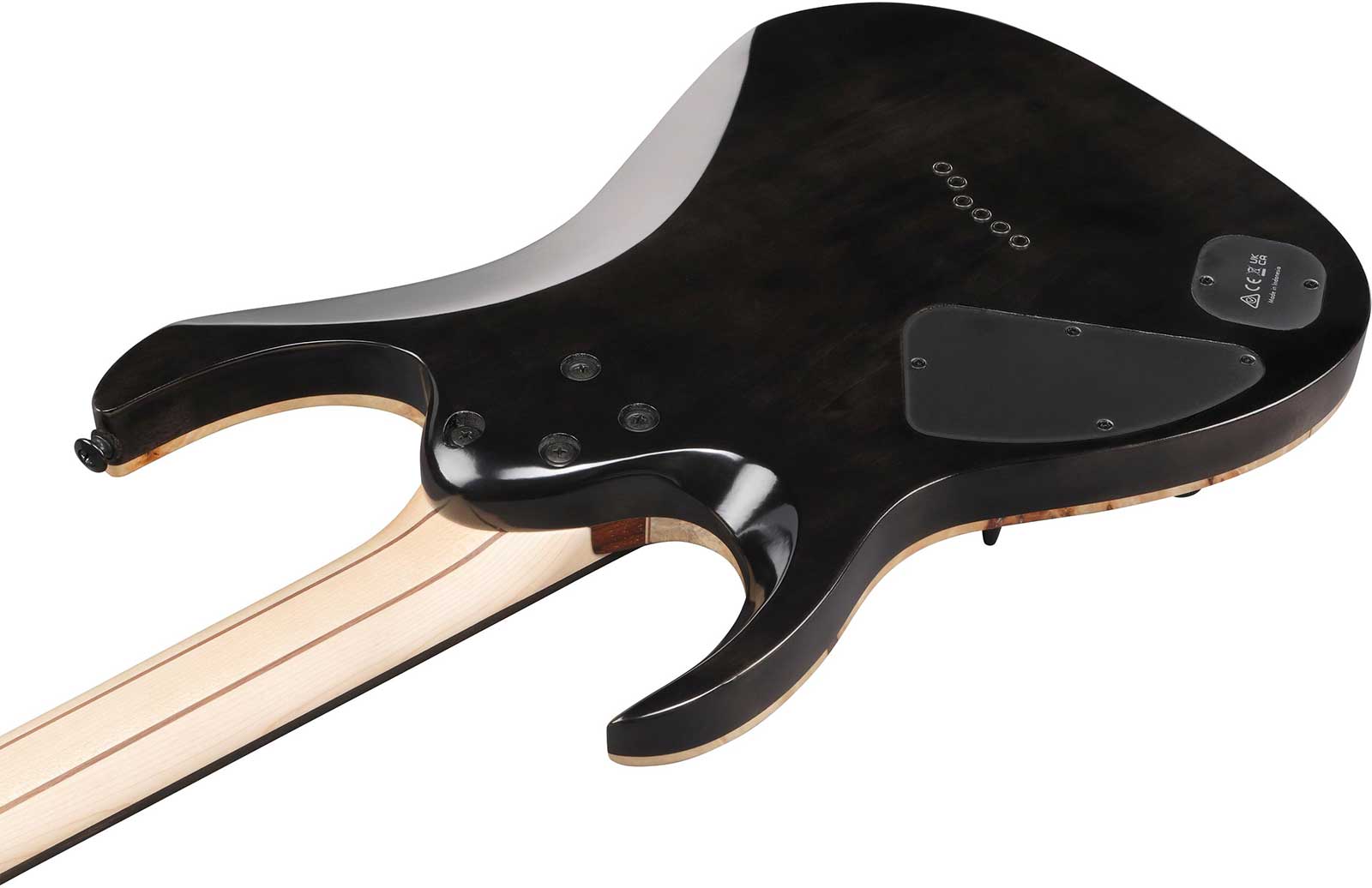 Ibanez Rga21p1pb Drl Premium 2h Dimarzio Ht Eb - Deep Twilight Burst - E-Gitarre in Str-Form - Variation 3