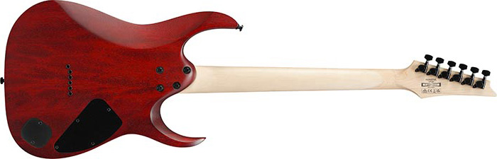 Ibanez Rga42fml Tgf Lh Standard Gaucher 2h Ht Rw - Transparent Grey Flat - E-Gitarre in Str-Form - Variation 1