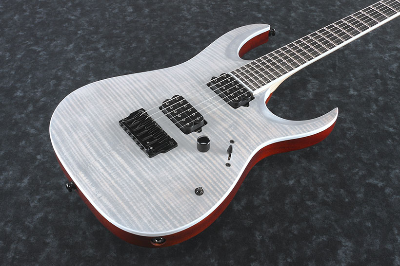 Ibanez Iron Label Rgaix6fm Wff Hh Dimarzio Ht Eb - White Frost Flat - E-Gitarre in Str-Form - Variation 1