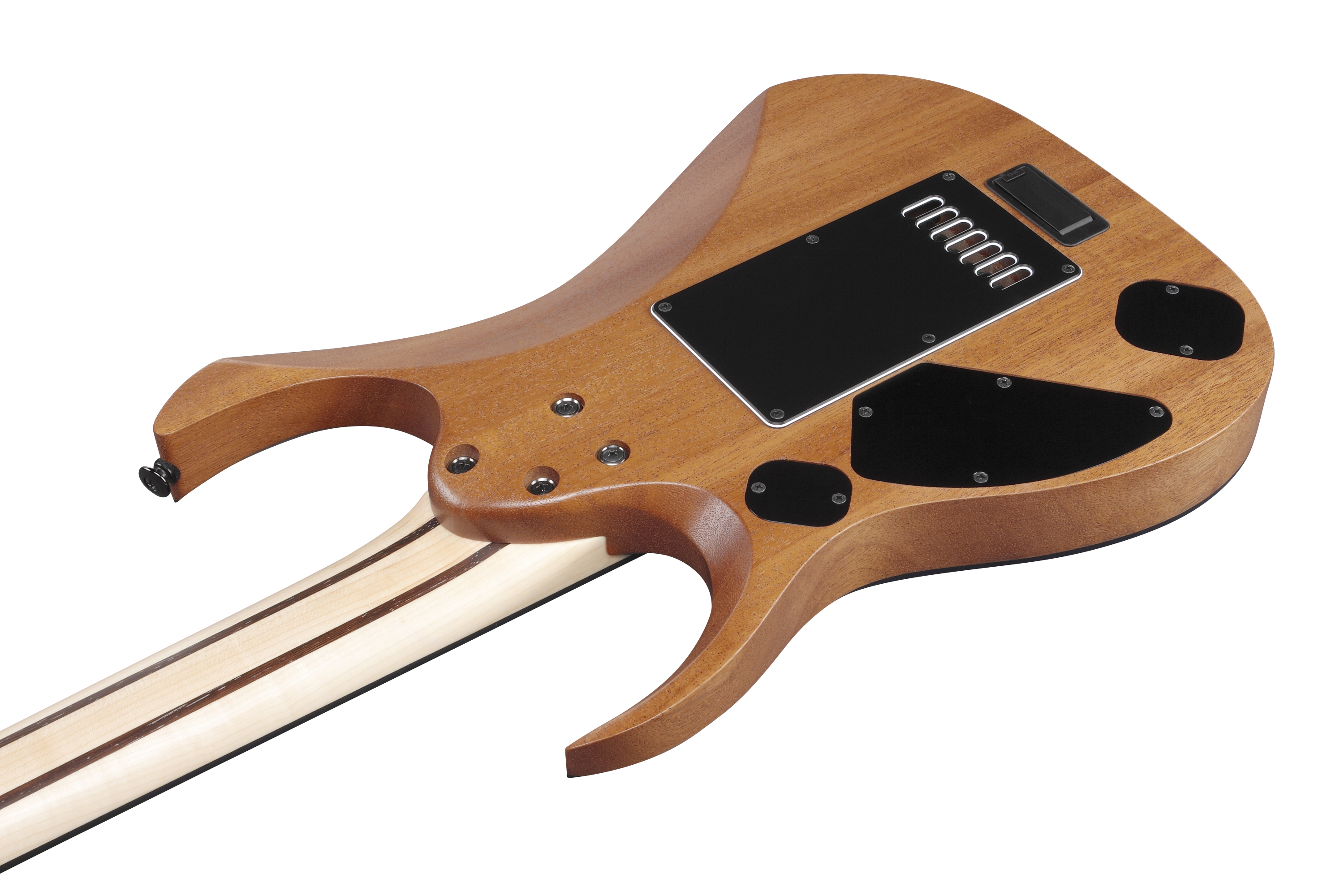 Ibanez Rgdr4527et Prestige Hh Ht Rich - Natural Flat - E-Gitarre in Str-Form - Variation 3