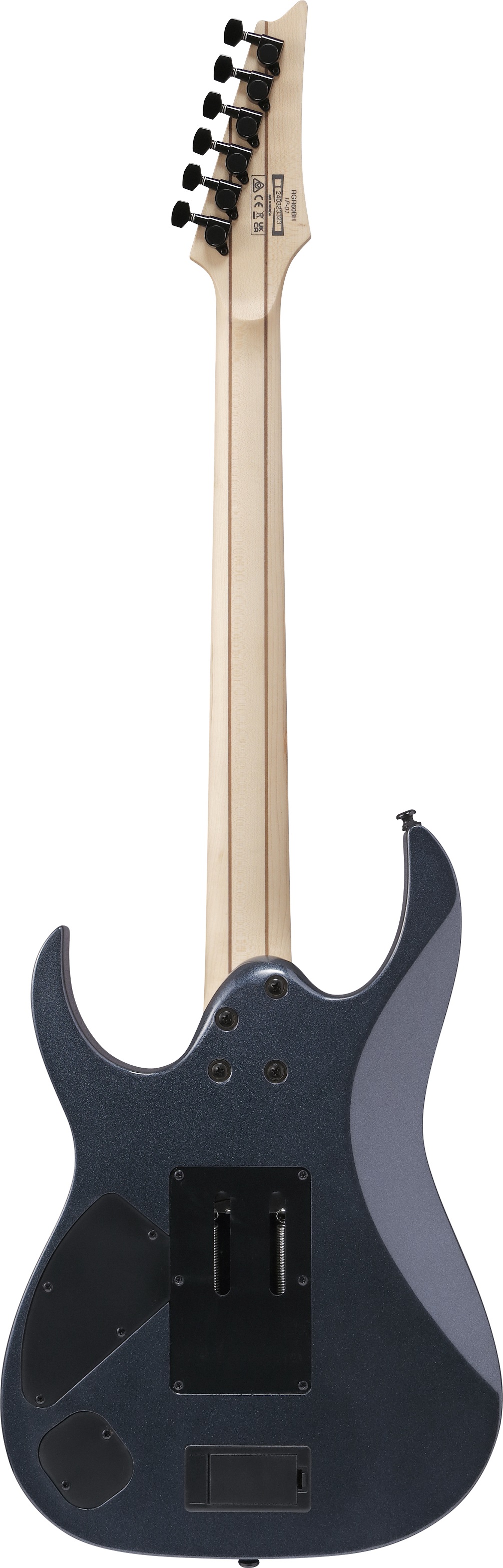 Ibanez Rgr6bspipt Trem Hh Eb - Iron Pewter - E-Gitarre in Str-Form - Variation 1