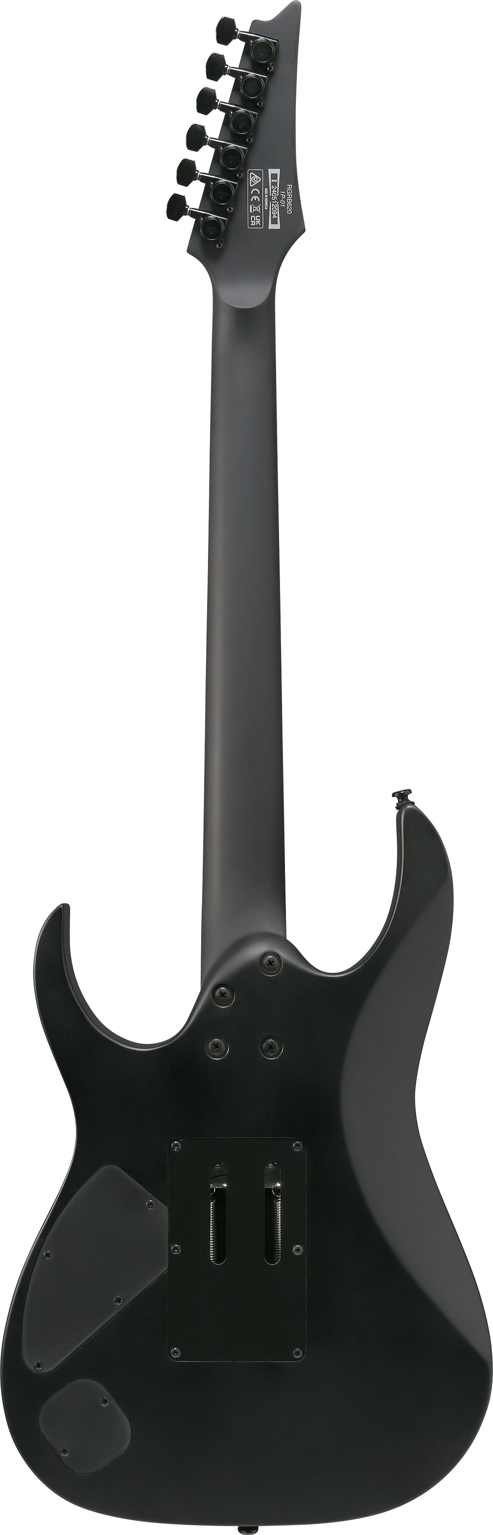 Ibanez Rgrb620bkf Trem Hh Eb - Black Flat - E-Gitarre in Str-Form - Variation 2