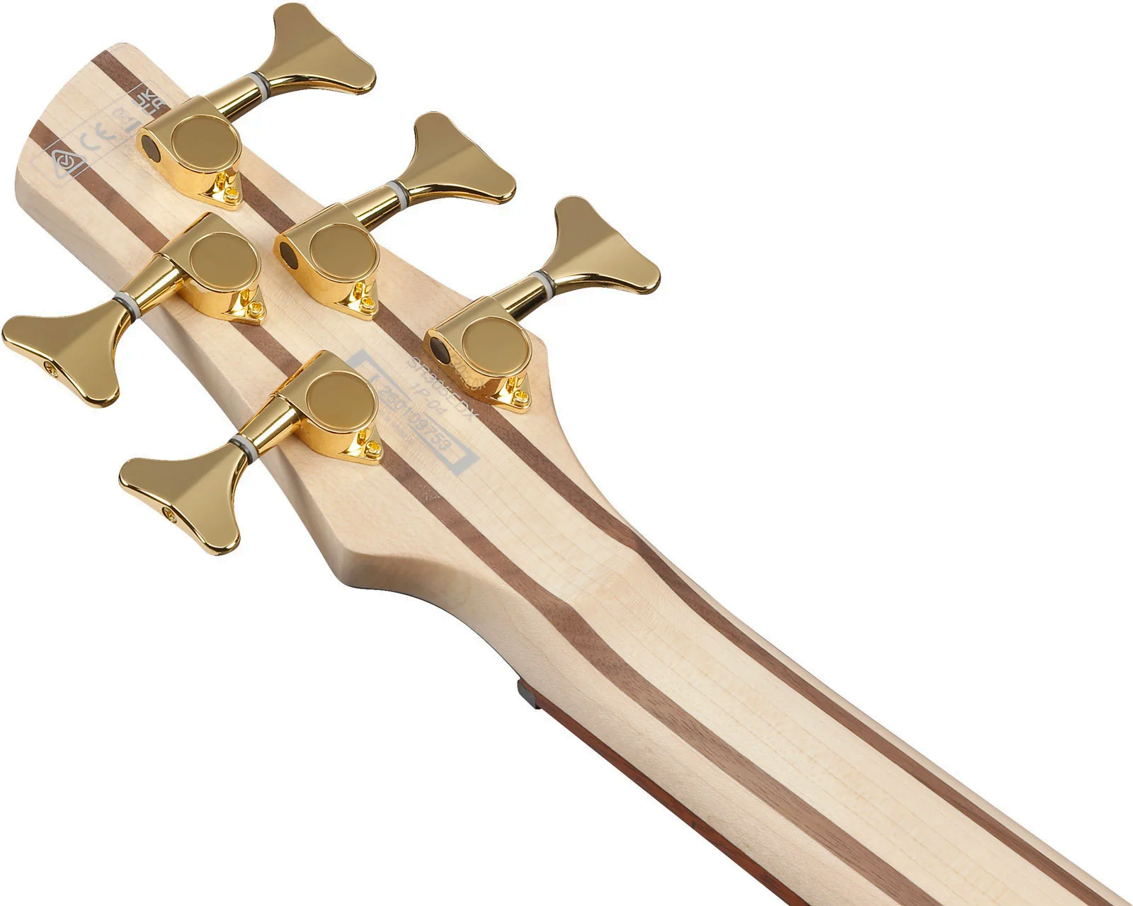 Ibanez Sr305edx Fdm Standard 5c Active Jat - Frozen Gold Matte - Solidbody E-bass - Variation 5
