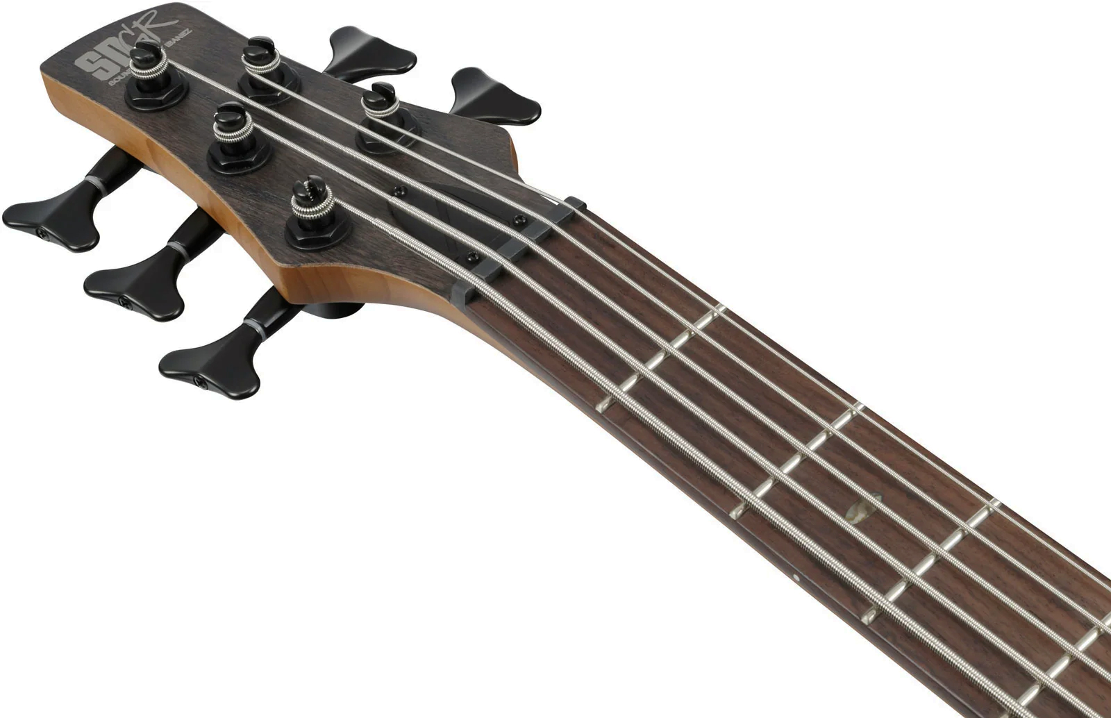 Ibanez Sr505a Tgf Standard 5c Active Bartolini Rw - Transparent Gray Flat - Solidbody E-bass - Variation 4