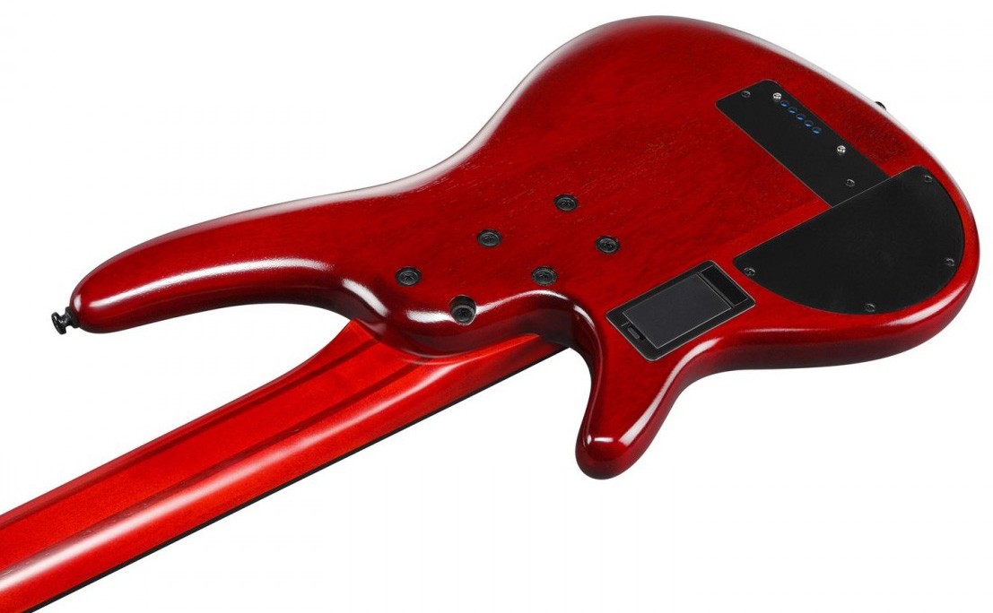 Ibanez Srd905f Fretless Workshop 5c Active Piezo Pp - Brown Topaz Burst Low Gloss - Halbakustiche Bass - Variation 3