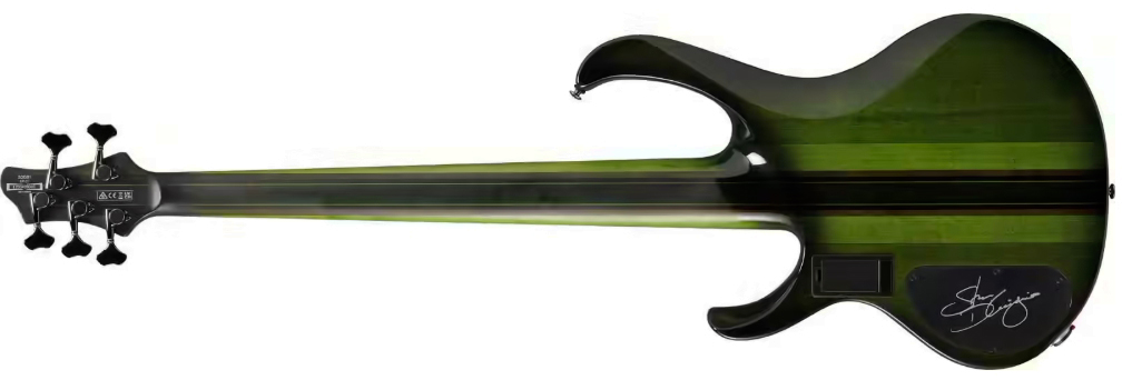 Ibanez Steve Di Giorgio Sdgb1 Dmt Signature Fretless 5c Active Ebo - Dark Moss Burst - Solidbody E-bass - Variation 1