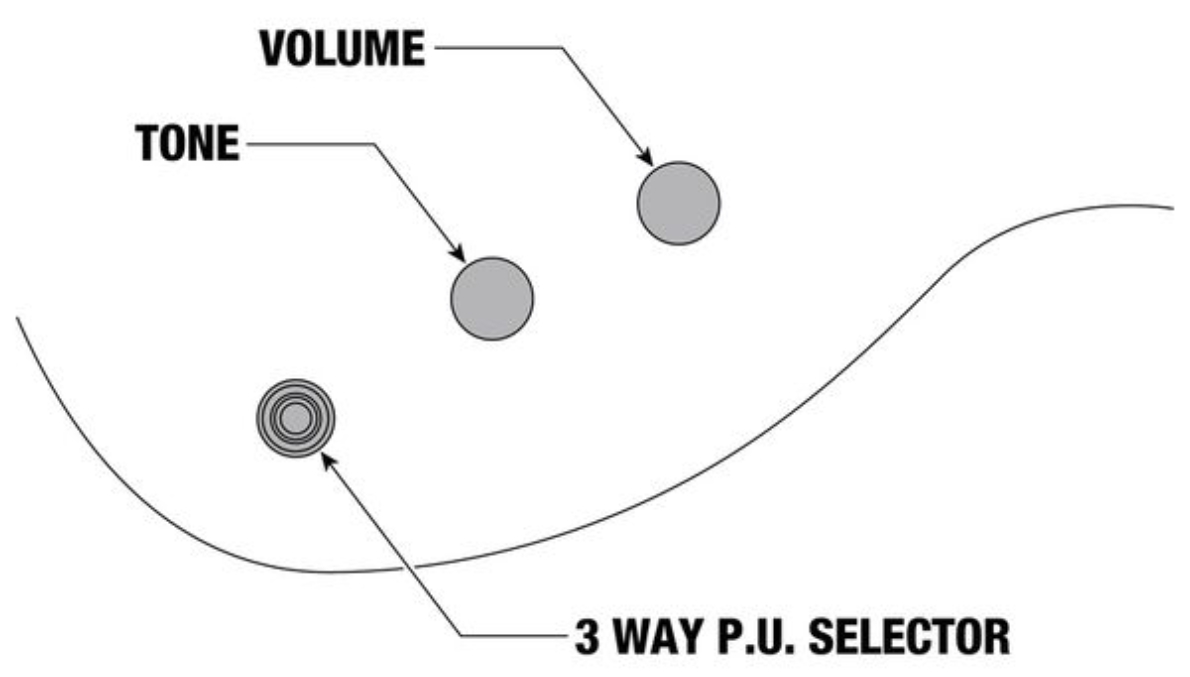 Ibanez Xpt420dx Rgc Standard 2h Fr Rw - Rose Gold Chameleon - E-Gitarre aus Metall - Variation 5