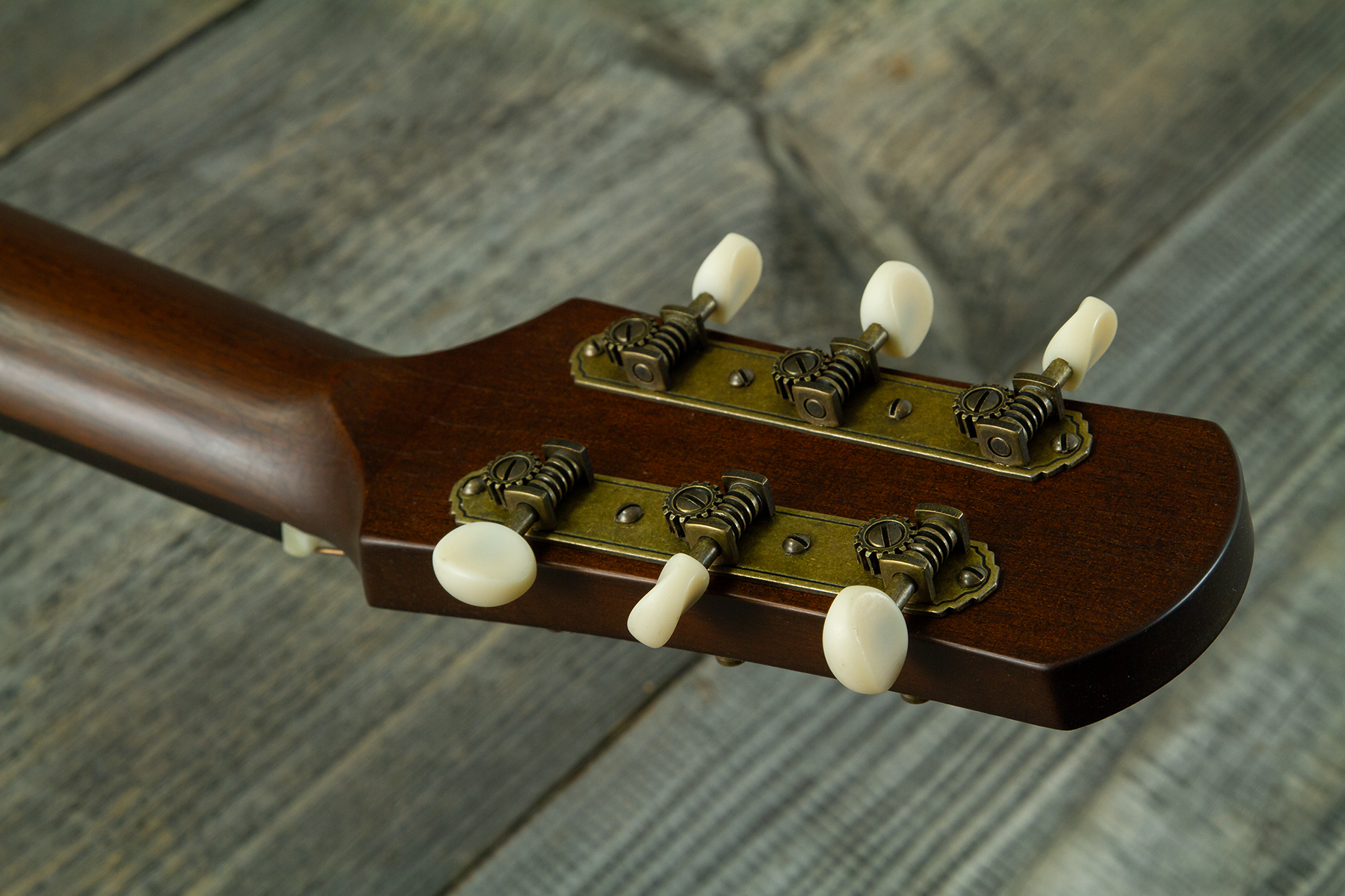 Iris Df Dreadnought Epicea Acajou Rw #1435 - Relic Tobacco Burst - Folk-Gitarre - Variation 11