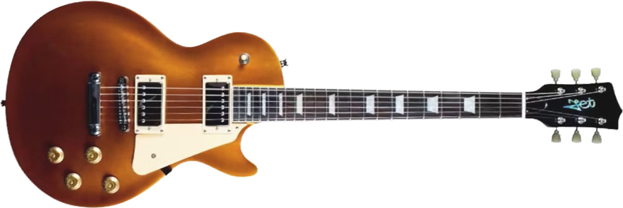 Jet Guitars Jl500 Gd 2h Ht Rw - Gold Top - Single-Cut-E-Gitarre - Main picture