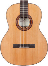 Artist Fiesta FC - natural