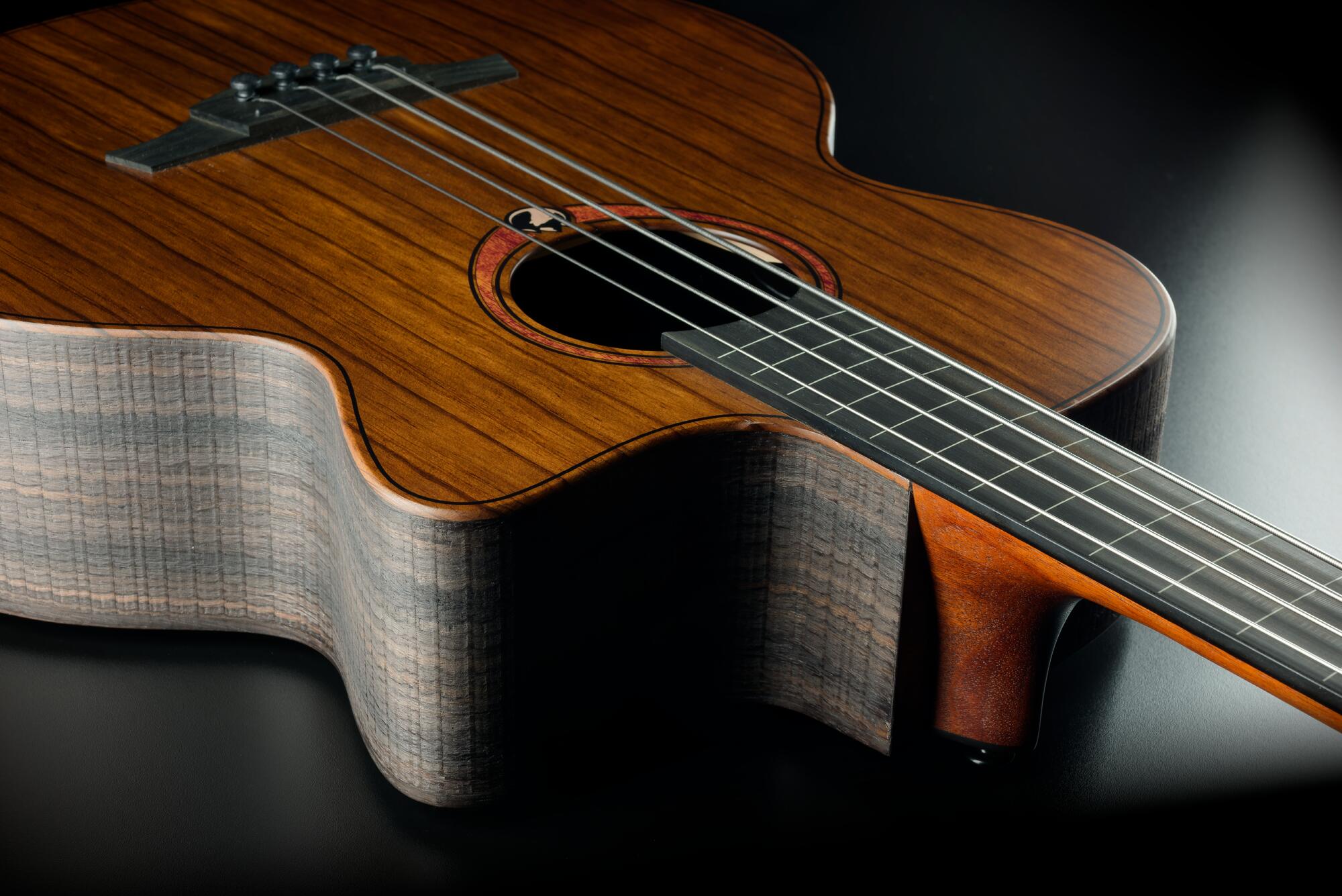 Lag Sauvage Basse Fretless Electro Br - Natural - Akustische Bass - Variation 3