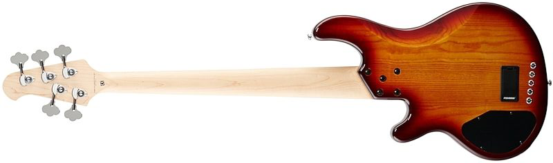 Lakland 55-02 Deluxe Qmt Skyline 5c Active Mn - Honey Burst Gloss - Solidbody E-bass - Variation 1