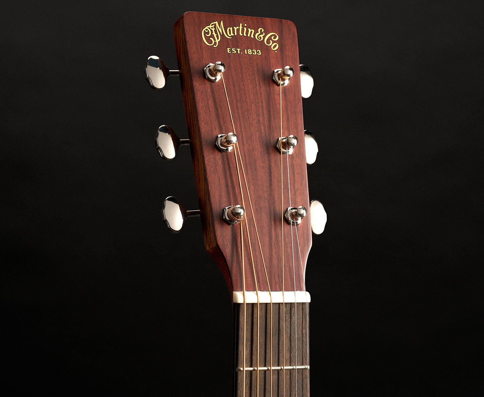 Martin De Retro Plus Road Epicea Granadillo Eb - Aging Toner - Folk-Gitarre - Variation 4