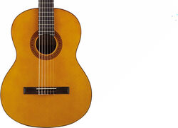 MC-20S 4/4 - natural