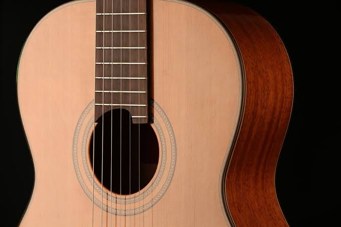 Martinez Mc 118c Standard 4/4 Cedre Acajou Eb +housse - Natural - Konzertgitarren 4/4 - Variation 1
