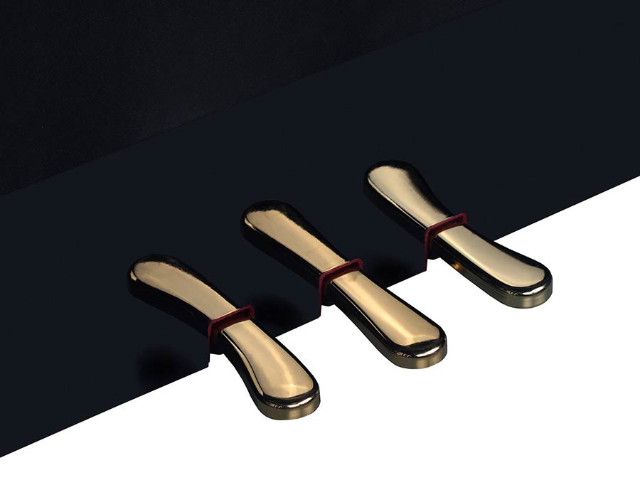 Medeli Up 605 - Noir - Digitalpiano mit Stand - Variation 2