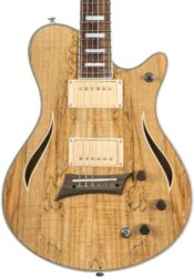 Single-cut-e-gitarre Michael kelly Hybrid Special - Spalted maple