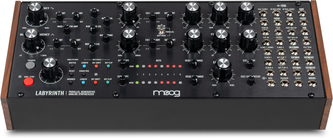 Moog Labyrinth - Expander - Main picture
