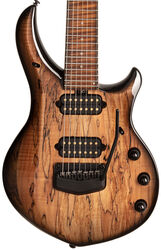 John Petrucci Majesty Maple Top 6 - Spice Melange