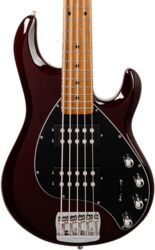 StingRay Special HH 5-String +Gig Bag - Translucent Oxblood