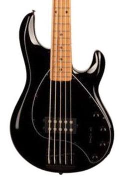 StingRay Special H 5-String (MN) +Gig Bag - black