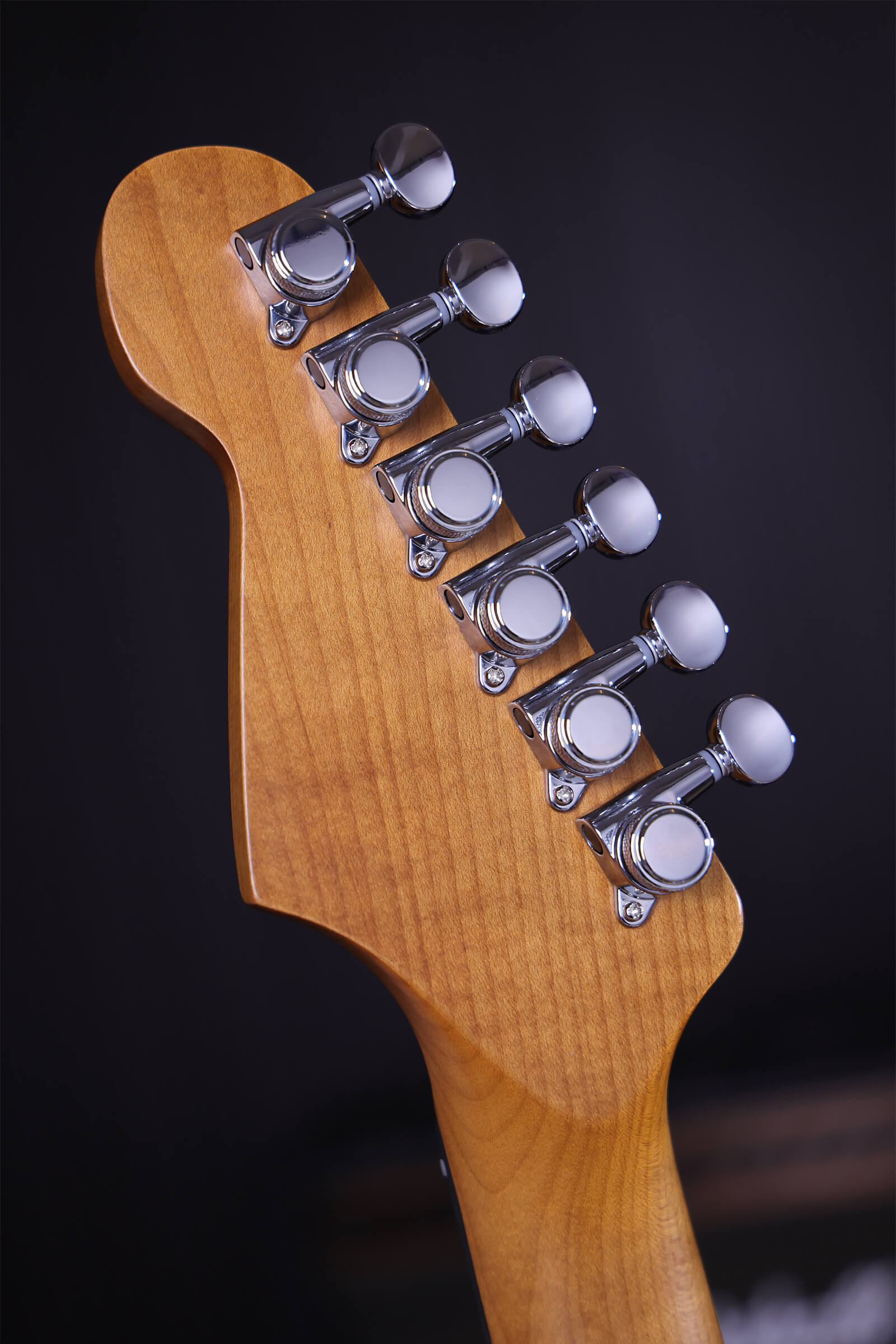 Patina Guitars Ps6 Sgr R 3s Trem Rw - Sherwood Green Relic - E-Gitarre in Str-Form - Variation 4