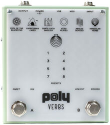 Reverb/delay/echo effektpedal Poly effects Verbs Reverb
