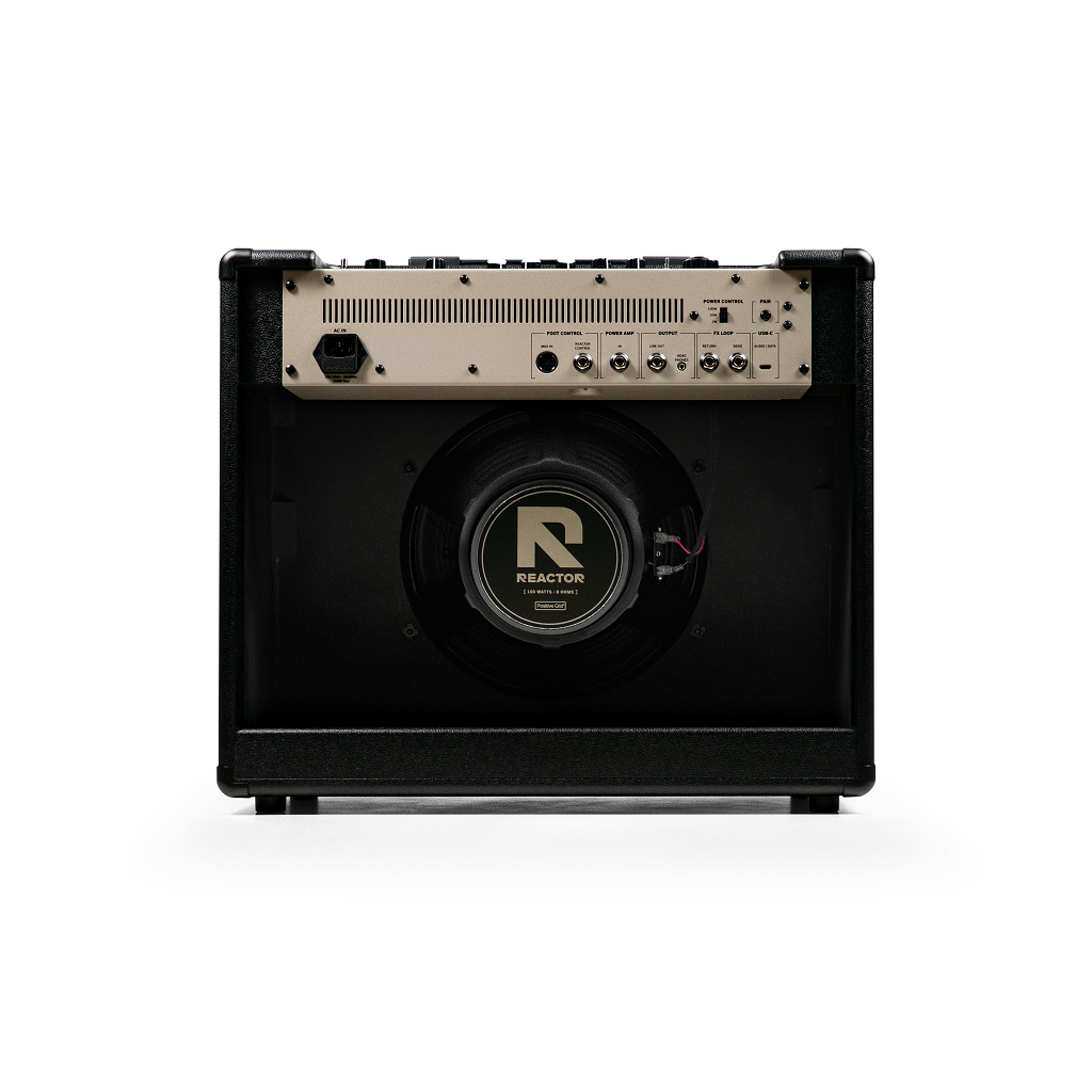 Positive Grid Reactor 100w 1x12 - Combo für E-Gitarre - Variation 1