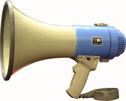 MegaPower 25