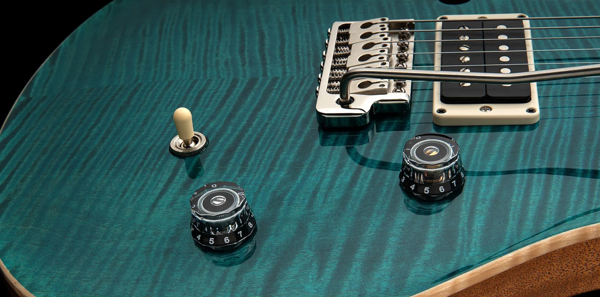 Prs Ce 24 Semi-hollow Bolt-on Usa 2h Trem Rw - Carroll Blue - Semi-Hollow E-Gitarre - Variation 4