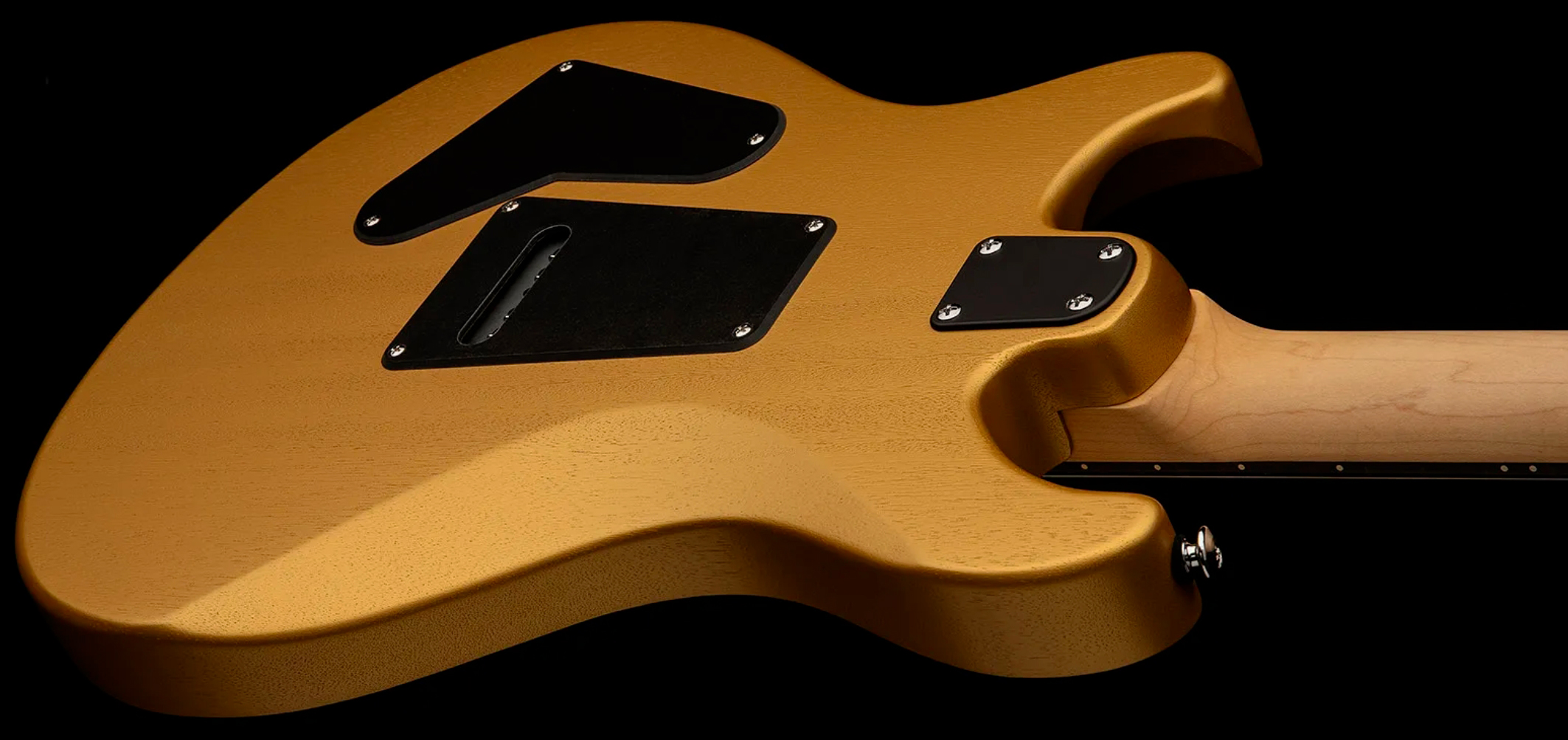 Prs Ce24 Standard Satin Wing Tuners Se Bolt-on 2h Trem Rw - Metallic Gold - Double Cut E-Gitarre - Variation 4