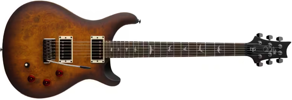 Prs David Grissom Dgt Laurel Burl Se Exotic Veneer Trem 2h Rw - Mccarty Tobacco Burst - Double Cut E-Gitarre - Main picture