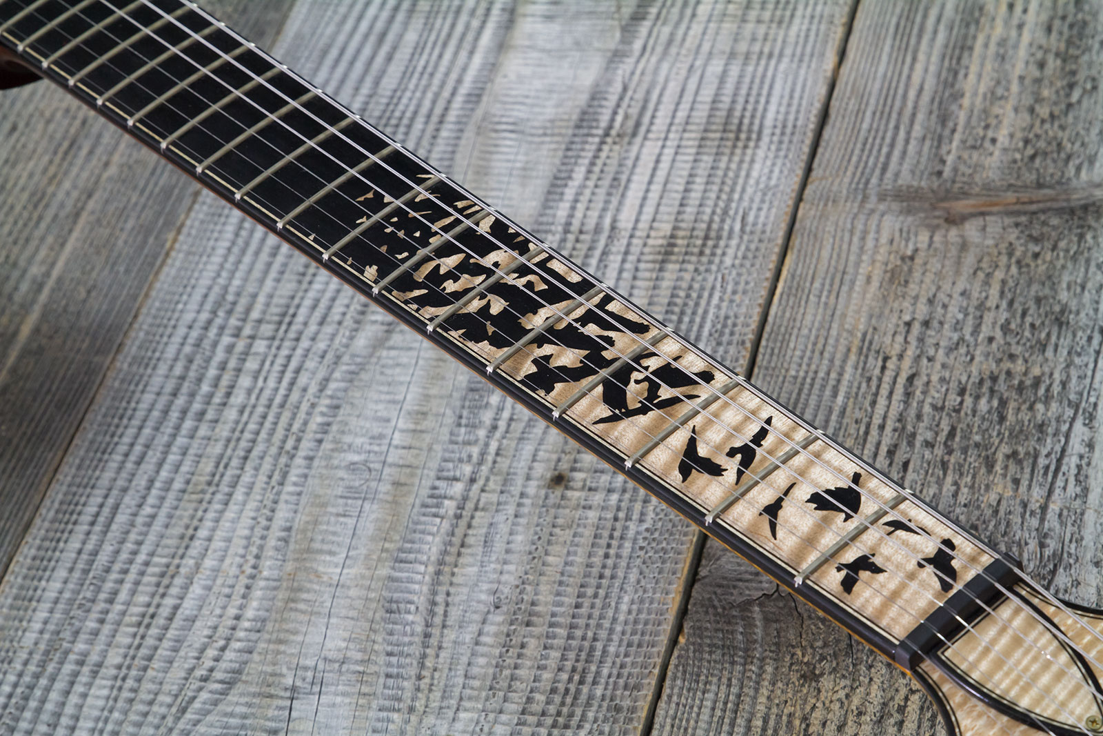 Prs Custom 24-08 Private Stock Hand-signed Usa 2h Trem Rw #0385255 - Mccarty Glow - Double Cut E-Gitarre - Variation 5