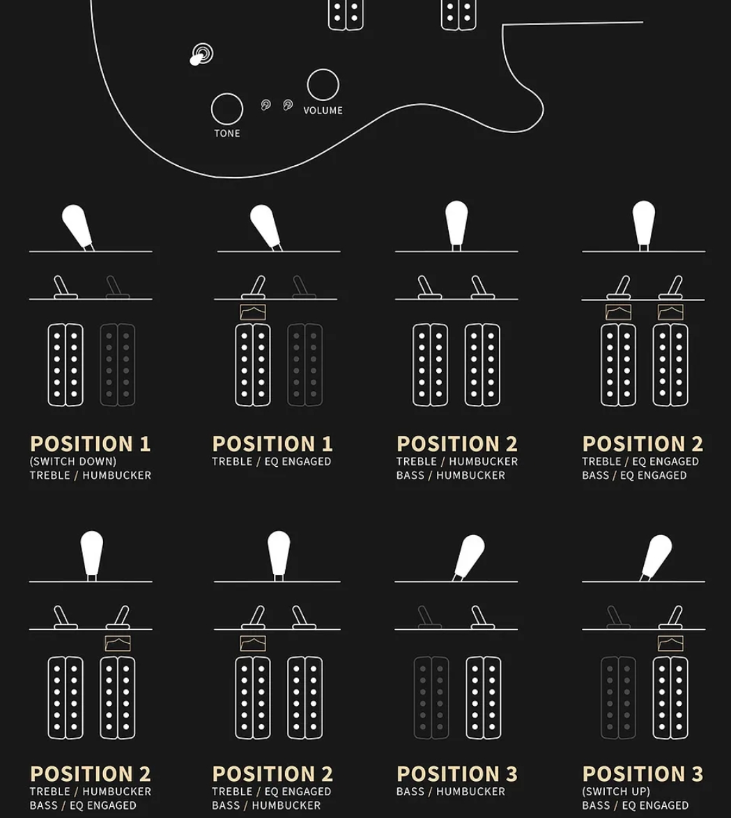 Prs Custom 24-08 Usa 2h Tci Trem Rw - Black Gold Wraparound Burst - Double Cut E-Gitarre - Variation 4