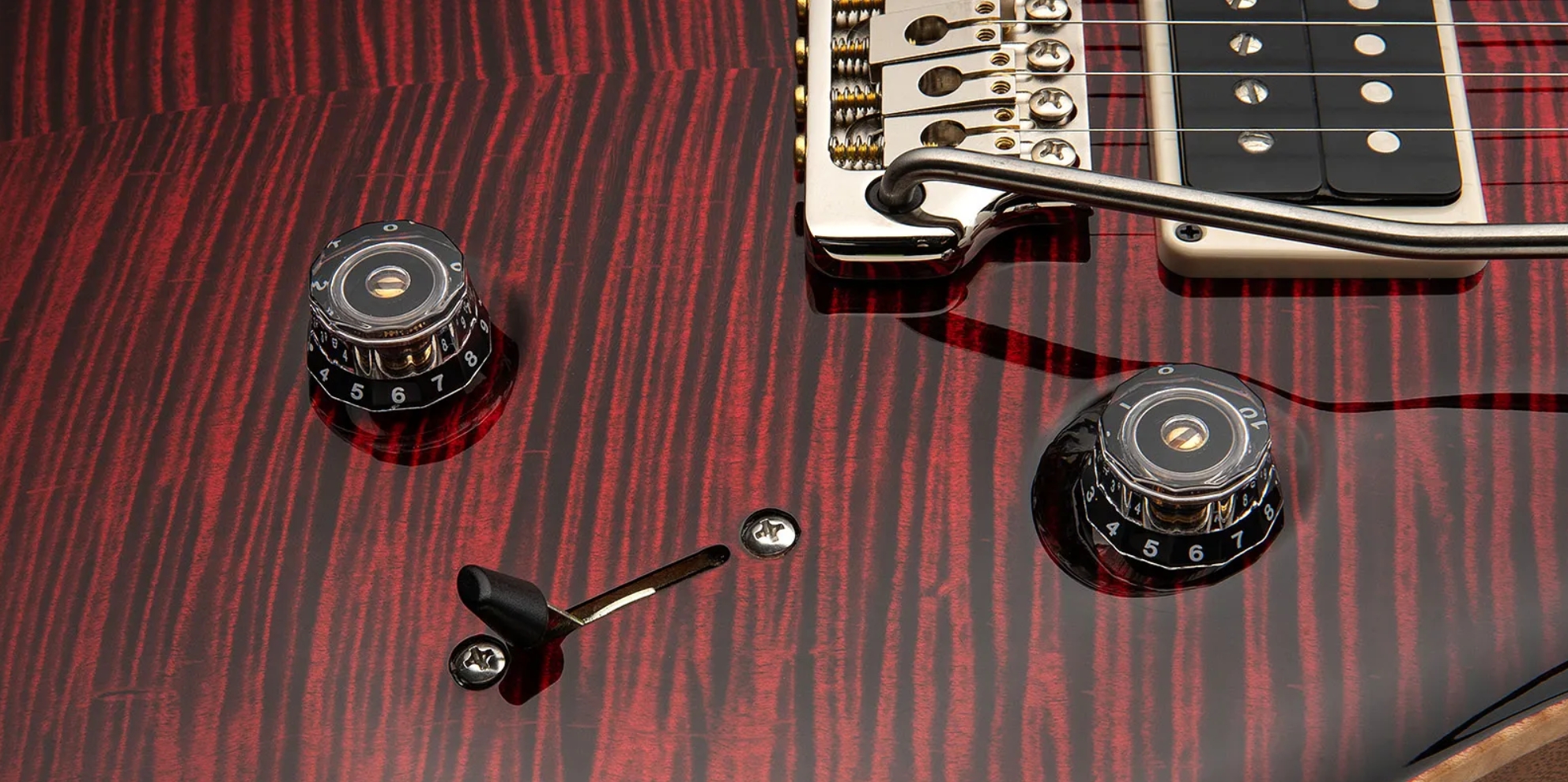 Prs Custom 24 Birds Of A Feather Usa Ltd 2h Trem Eb/mn - Blood Red - Double Cut E-Gitarre - Variation 4