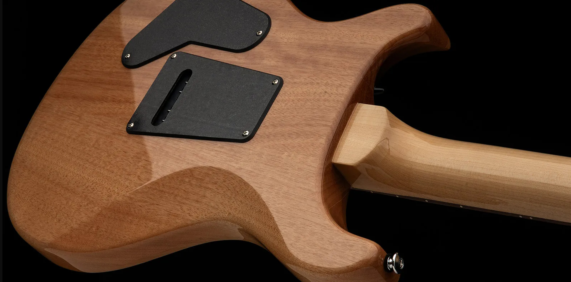 Prs Custom 24 Burled Ash Se Exotic Veneer Trem 2h Rw - Natural - Double Cut E-Gitarre - Variation 4