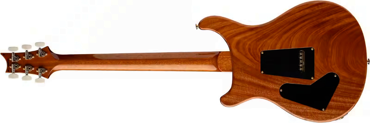 Prs Custom 24 Usa 2h Dmo Trem Rw - Carroll Blue - Double Cut E-Gitarre - Variation 1