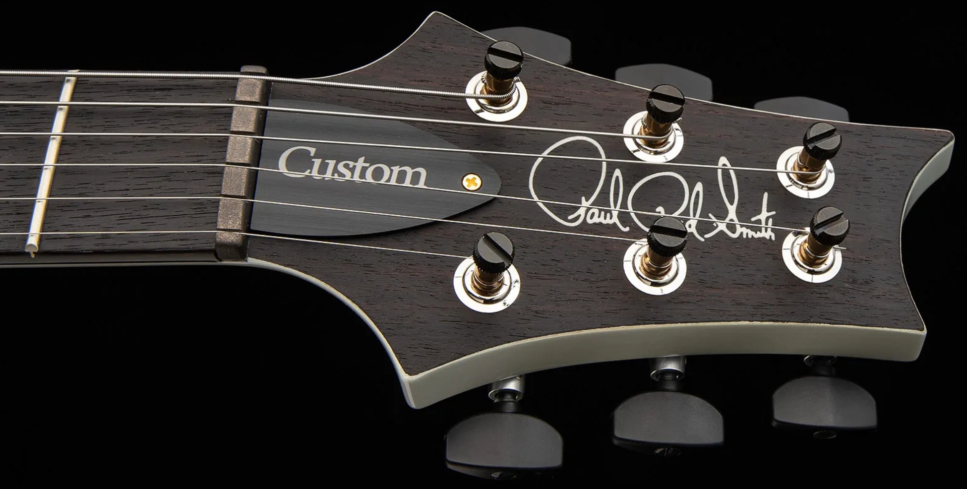 Prs Custom 24 Usa 2h Dmo Trem Rw - River Blue Pearl - Double Cut E-Gitarre - Variation 5