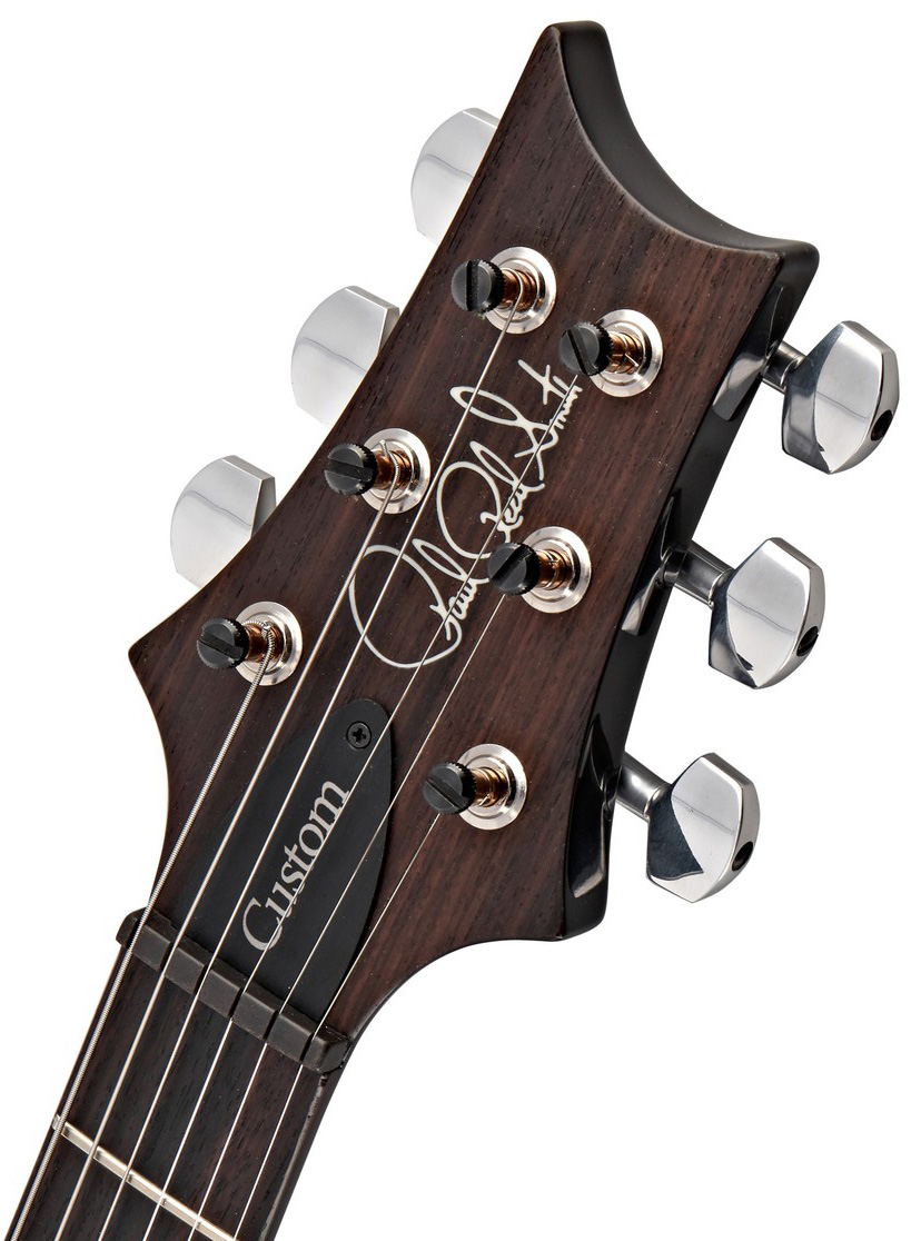 Prs Custom 24 Usa 2h Trem Rw - Eriza Verde - Double Cut E-Gitarre - Variation 5