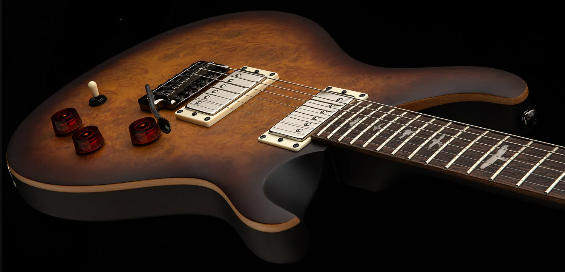 Prs David Grissom Dgt Laurel Burl Se Exotic Veneer Trem 2h Rw - Mccarty Tobacco Burst - Double Cut E-Gitarre - Variation 2