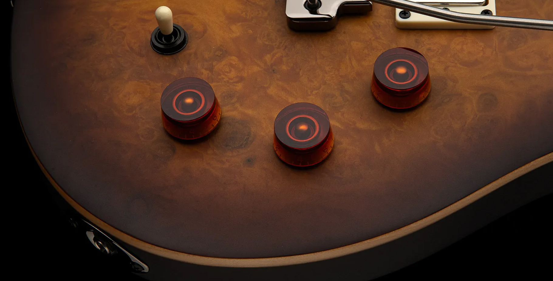 Prs David Grissom Dgt Laurel Burl Se Exotic Veneer Trem 2h Rw - Mccarty Tobacco Burst - Double Cut E-Gitarre - Variation 3