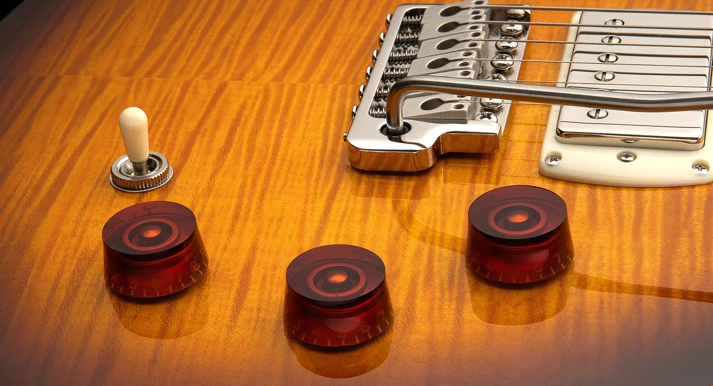 Prs David Grissom Dgt Se Signature Birds 2h Trem Rw - Mccarty Tobacco Sunburst - Double Cut E-Gitarre - Variation 4