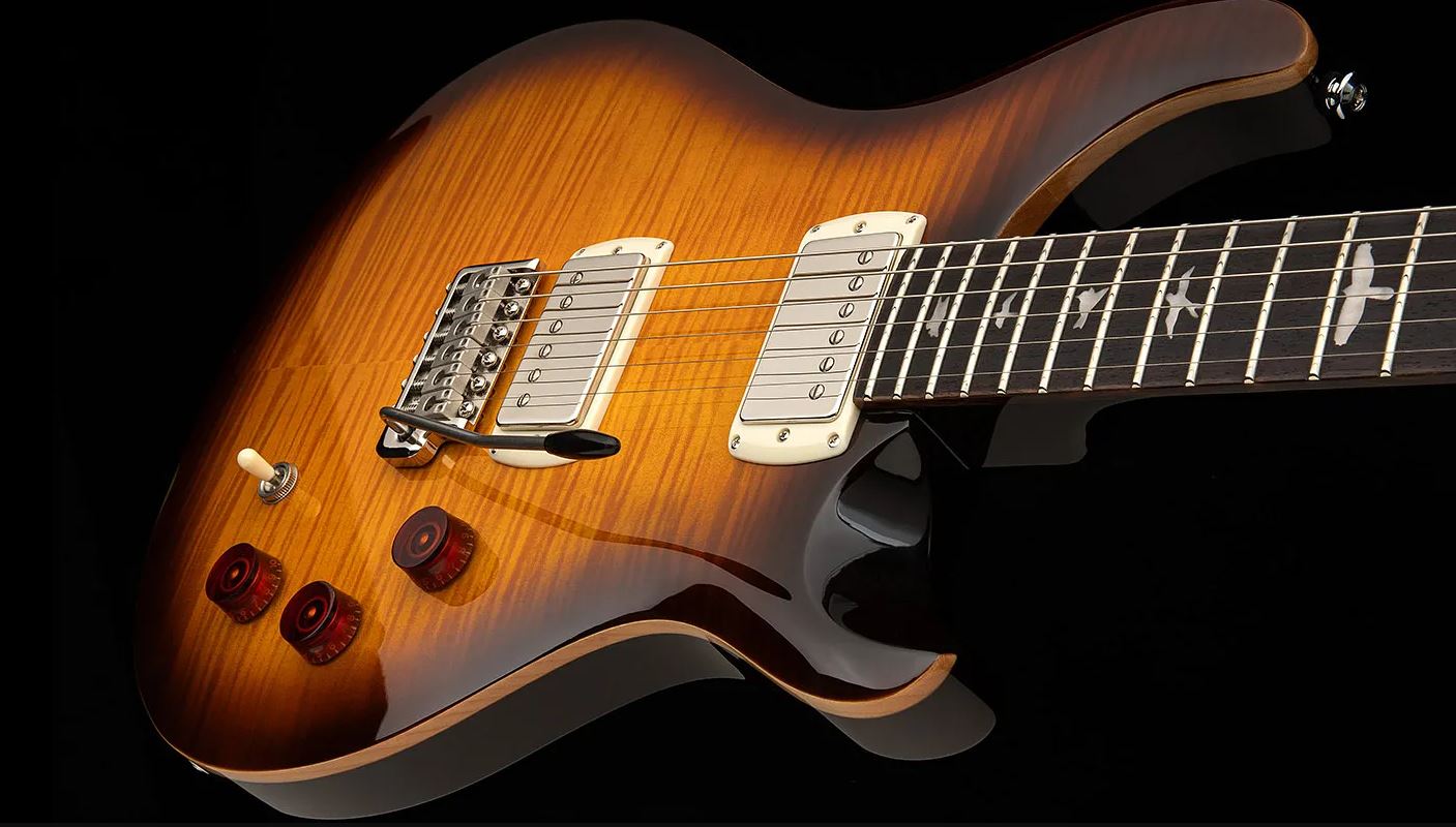 Prs David Grissom Dgt Se Signature Birds 2h Trem Rw - Mccarty Tobacco Sunburst - Double Cut E-Gitarre - Variation 5