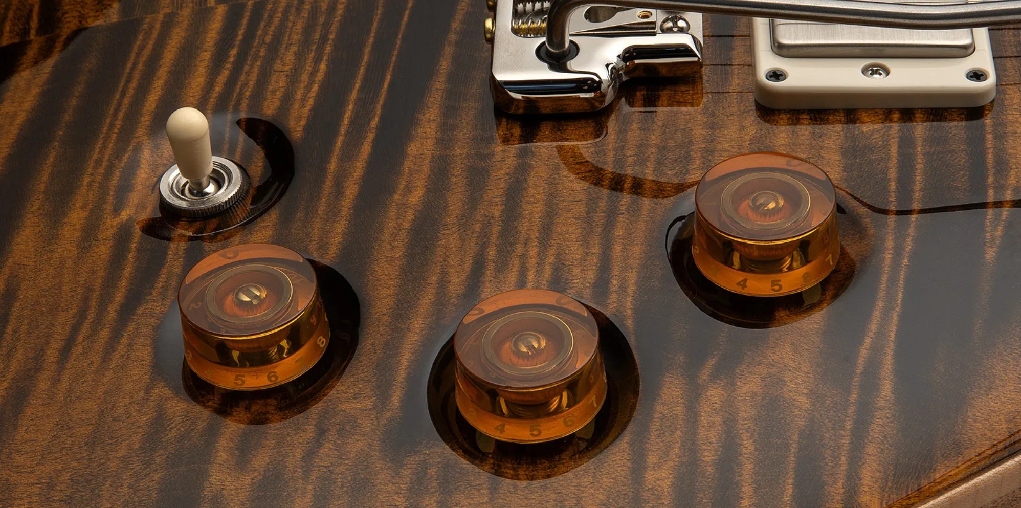 Prs David Grissom Dgt Usa Signature 2h Trem Rw - Tiger Eye - Double Cut E-Gitarre - Variation 3