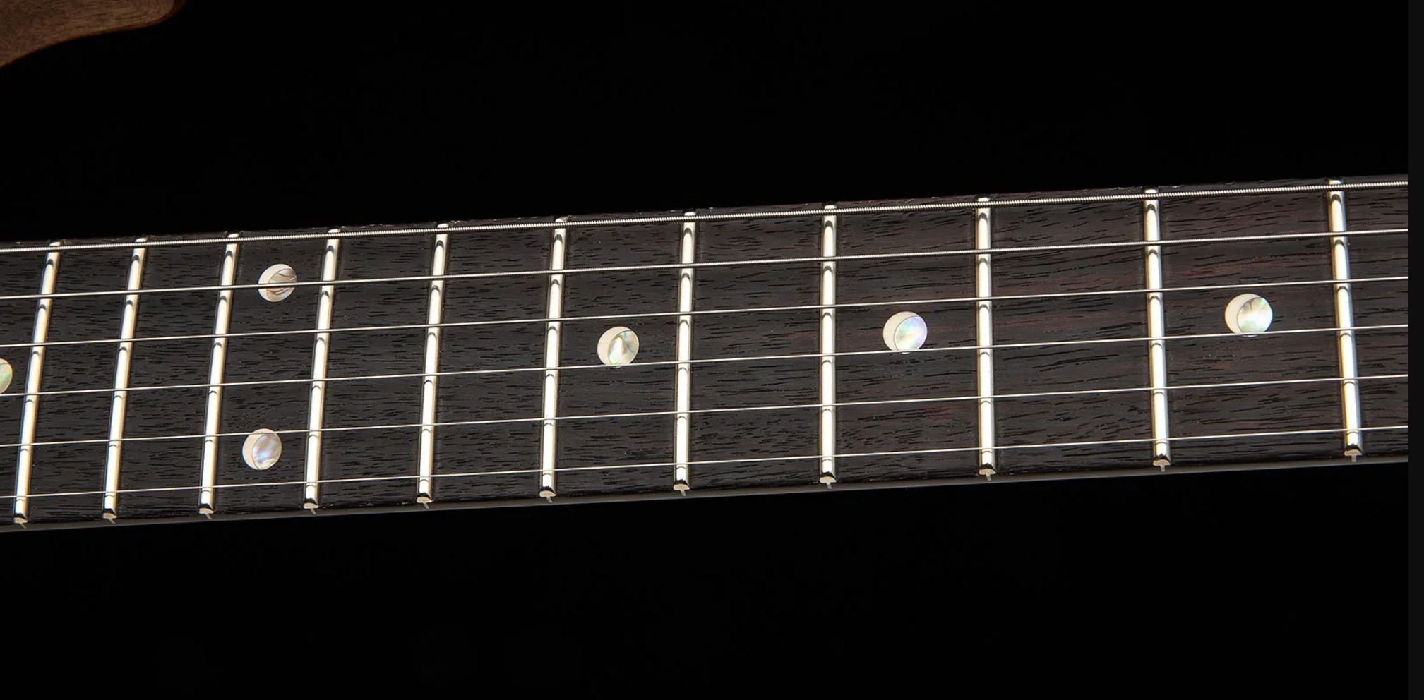 Prs David Grissom Dgt Usa Signature 2h Trem Rw - Tiger Eye - Double Cut E-Gitarre - Variation 4