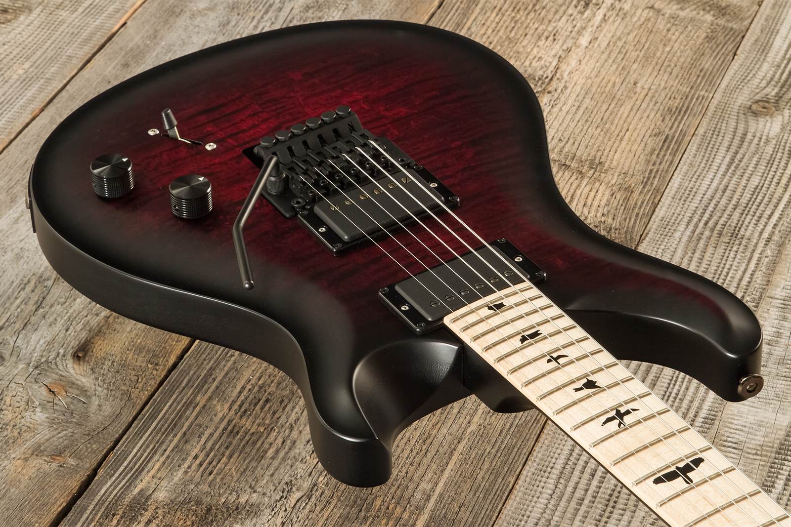 Prs Dustie Waring Dw Ce 24 Floyd Bolt-on Usa Signature 2h Fr Mn - Waring Smokeburst - Double Cut E-Gitarre - Variation 2