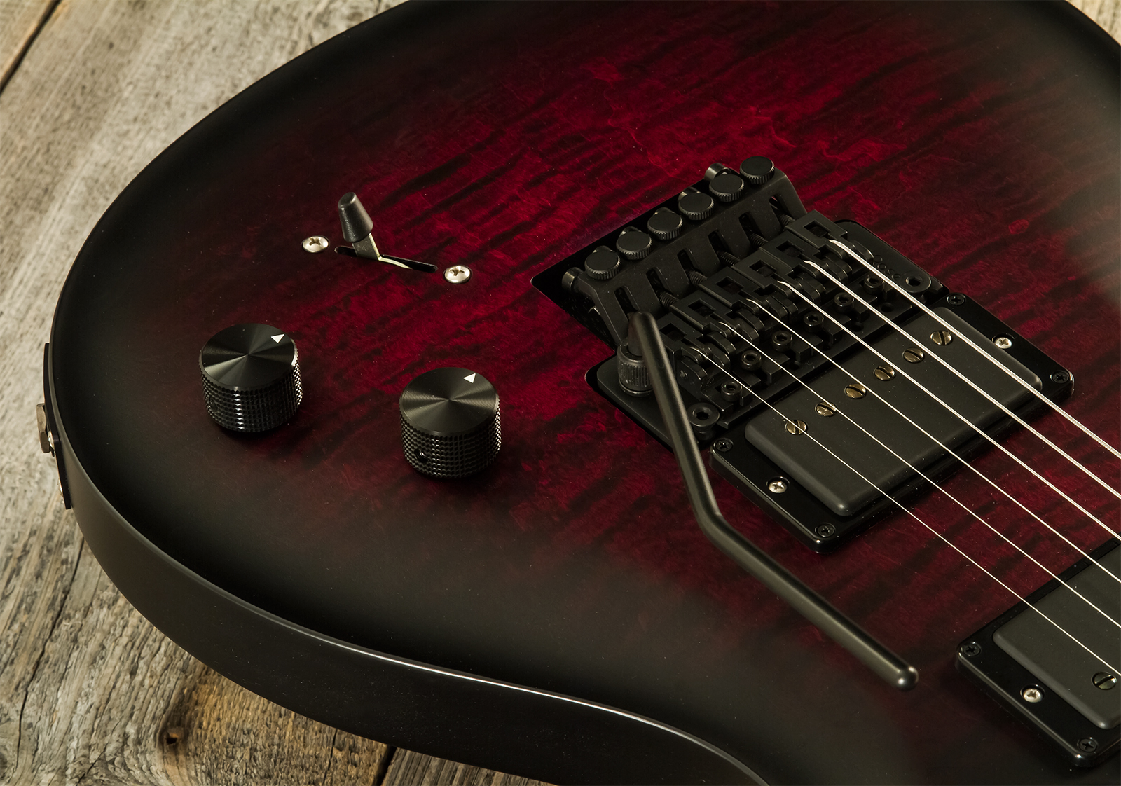 Prs Dustie Waring Dw Ce 24 Floyd Bolt-on Usa Signature 2h Fr Mn - Waring Smokeburst - Double Cut E-Gitarre - Variation 3